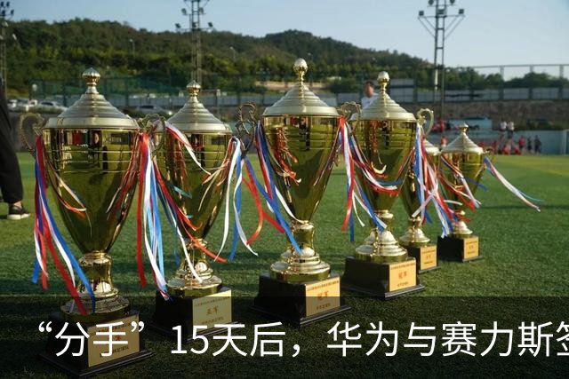 “分手”15天后，华为与赛力斯签约新五年