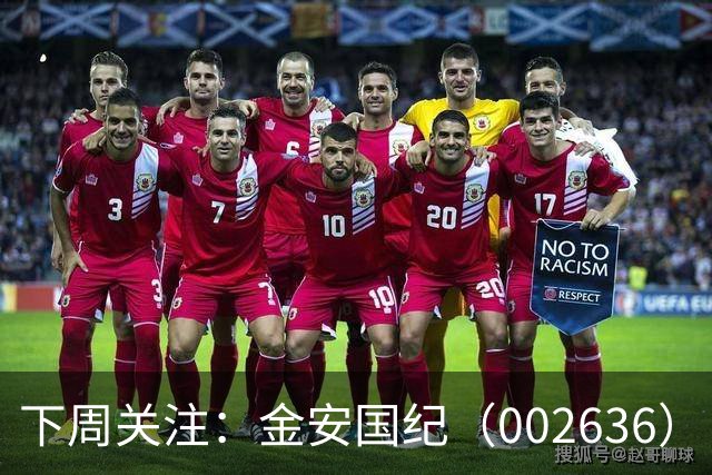 下周关注：金安国纪（002636）