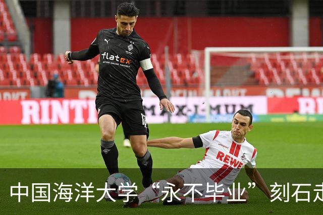 中国海洋大学“永不毕业”刻石走红，引发延毕焦虑