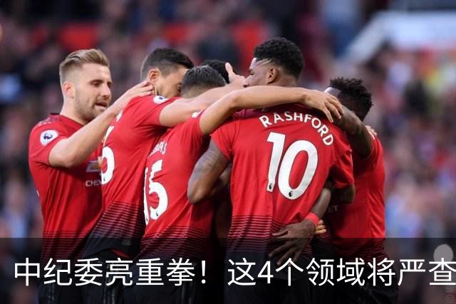 中纪委亮重拳！这4个领域将严查，4种行为将被严肃处理！
