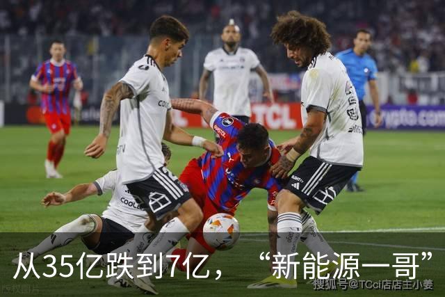 从35亿跌到7亿，“新能源一哥”跌落神坛！几十万基民被坑惨！