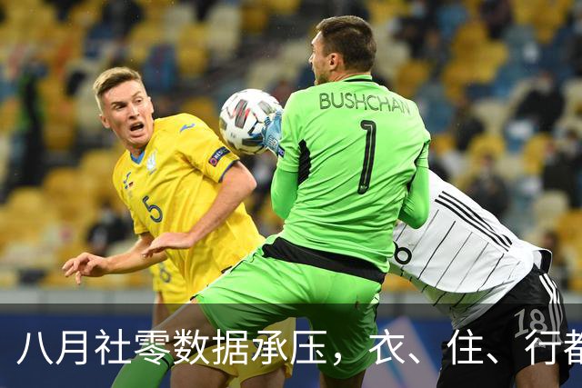 八月社零数据承压，衣、住、行都转负，就剩下“食”撑场面！