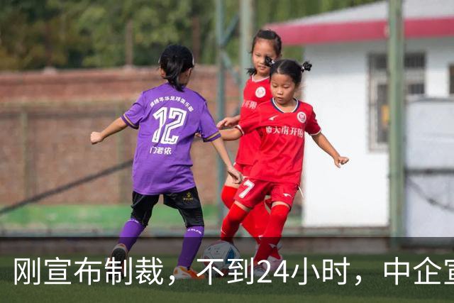 刚宣布制裁，不到24小时，中企宣布开源，美媒：最危险 还是来了