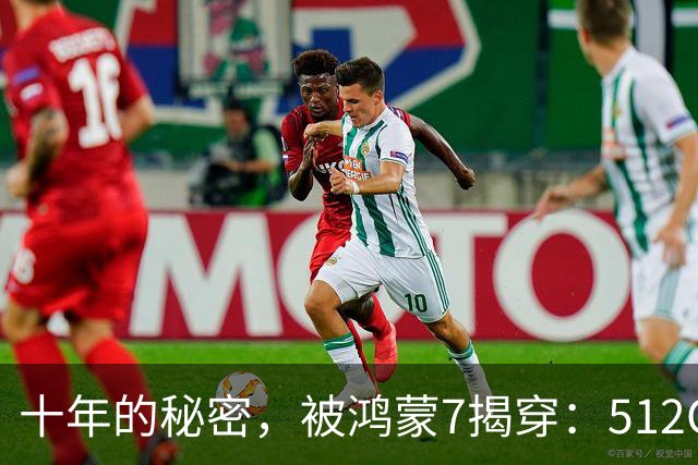 十年的秘密，被鸿蒙7揭穿：512GB，背后到底水分多深
