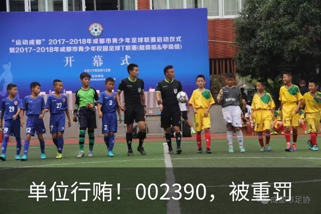 单位行贿！002390，被重罚