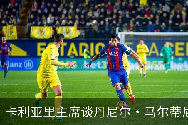 卡利亚里主席谈丹尼尔·马尔蒂尼丨喝酒别开车