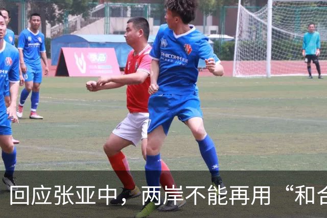 回应张亚中，两岸不能再用“和合”的修辞，把“一国”的方向继续模糊