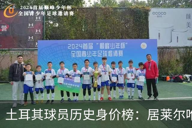 土耳其球员历史身价榜：居莱尔唯一上亿，伊尔迪兹7500万欧次之