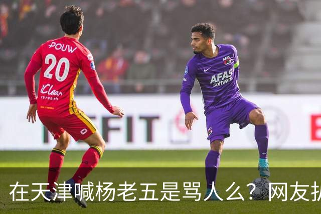 在天津喊杨老五是骂人么？网友扒出杨议代言火腿肠，商标就是津门杨老五