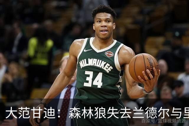 大范甘迪：森林狼失去兰德尔与里德实力骤降 最多排西部第六