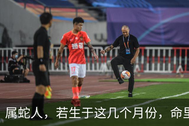 属蛇人，若生于这几个月份，命里贵人护佑，安享厚福！