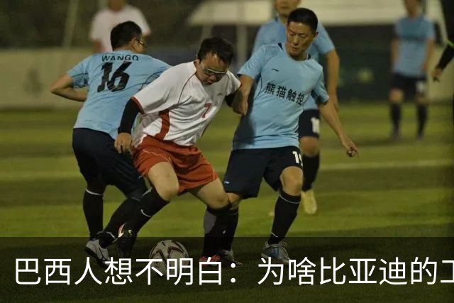 巴西人想不明白：为啥比亚迪的工厂从工地到出车只用了15个月