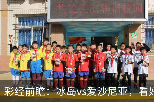 彩经前瞻：冰岛vs爱沙尼亚，看好主队两球优势取胜