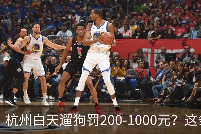 杭州白天遛狗罚200-1000元？这条规定 把养狗人和不养狗人都吵翻了