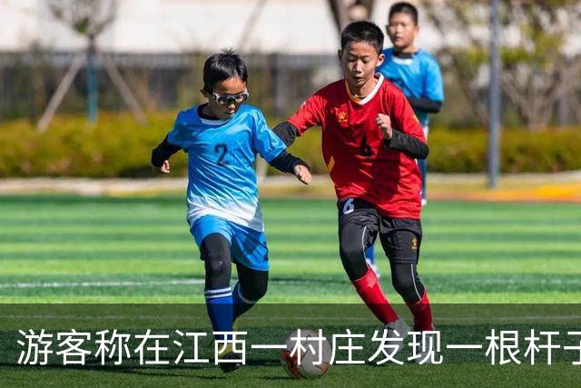 游客称在江西一村庄发现一根杆子上装了84个监控，当地回应