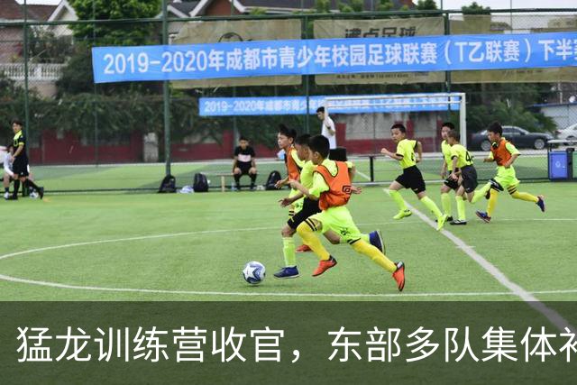 猛龙训练营收官，东部多队集体补强围剿伦纳德