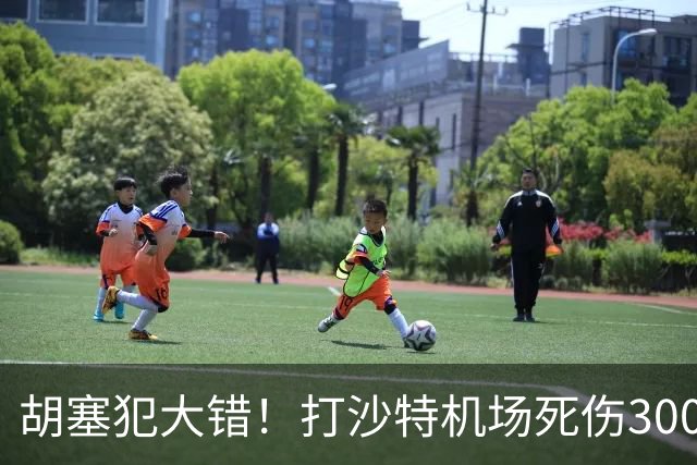 胡塞犯大错！打沙特机场死伤300多人，巴基斯坦猛批：这是恐袭