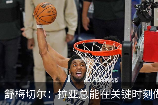 舒梅切尔：拉亚总能在关键时刻做出扑救，他出击摘高空球也进步了