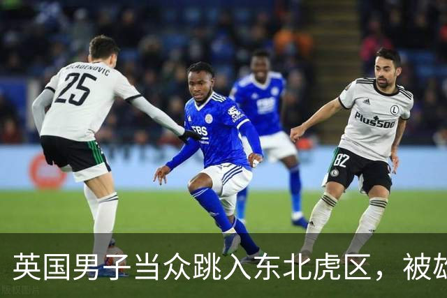 英国男子当众跳入东北虎区，被雄虎撕咬身亡，园方明确老虎不会被安乐死