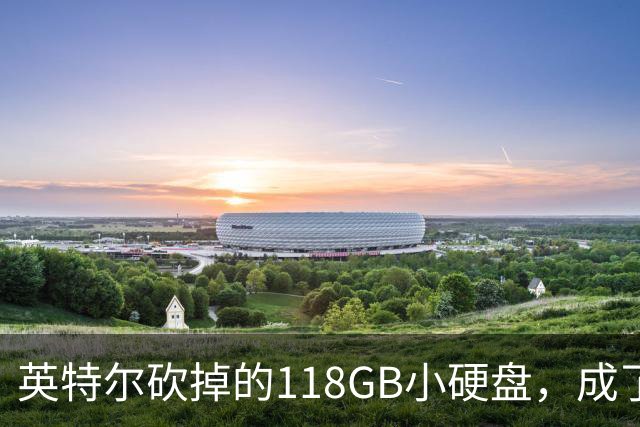 英特尔砍掉的118GB小硬盘，成了玩家圈里的抢手货
