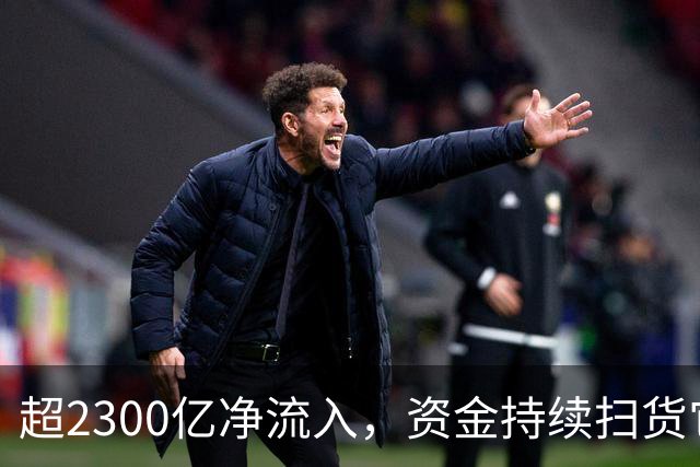 超2300亿净流入，资金持续扫货它们！高股息成亮点