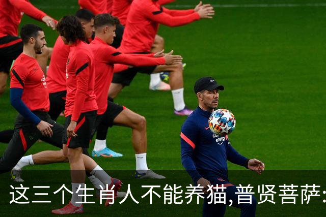 这三个生肖人不能养猫,普贤菩萨:不是养不起,是相生相克,因果相撞