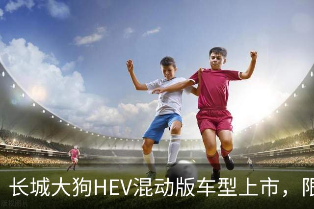 长城大狗HEV混动版车型上市，限时换新价10.59万元起