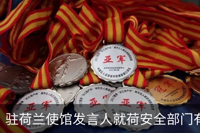 驻荷兰使馆发言人就荷安全部门有关报告涉华内容发表谈话